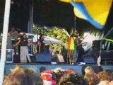 Steel pulse reggae concert festival dour 2008