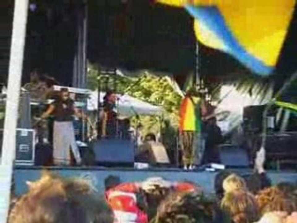 Steel pulse reggae concert festival dour 2008