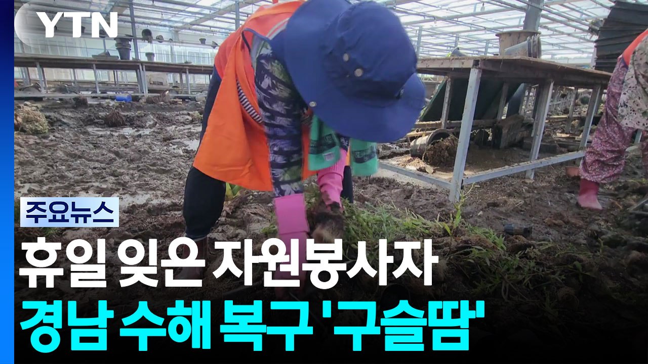휴일 잊은 자원봉사자...수해 복구 '구슬땀' / YTN