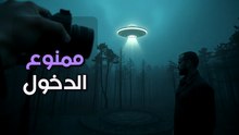 الصور حقيقية والشجر مايل 60 درجة: فما السر العلمي لغابة هويا باكيو؟