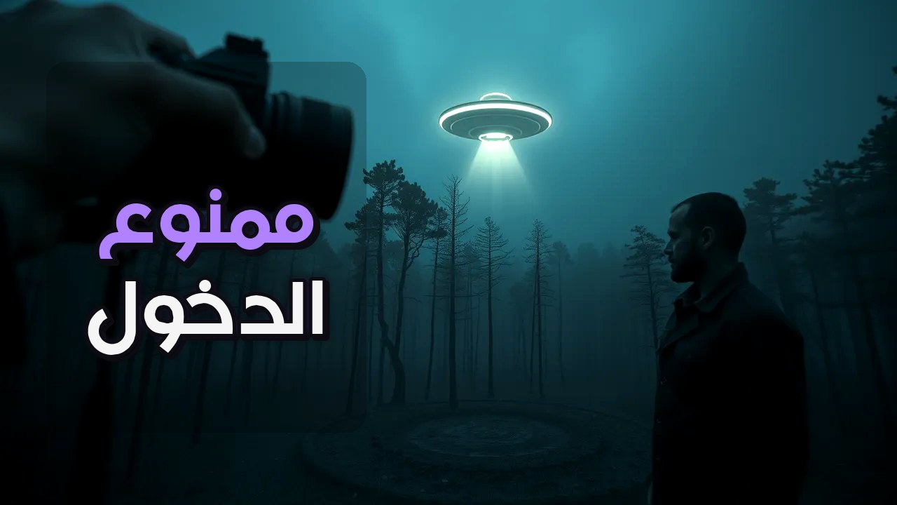 الصور حقيقية والشجر مايل 60 درجة: فما السر العلمي لغابة هويا باكيو؟