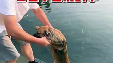 就算把狗扔水里，它也绝对不会说的事。