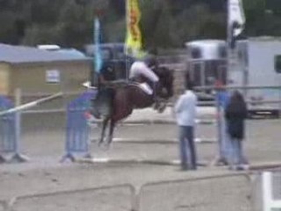 Camille & Jigolo Championnat 2008 2