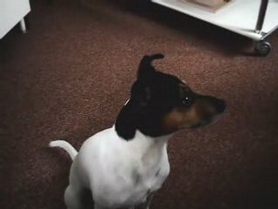 Elliott