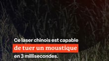 😳 Un laser tueur de moustiques ⁉️