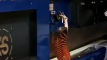 Tanning (Wet Blue Process) – hides soaked in chemical solution (chrome/vegetable tanning), turning blue-grey part6