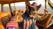funny animals😂😁😎❤😍