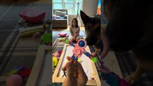 Intercambio de juguetes antiestrés con mi papá... ¡y también con Junior, mi perro!