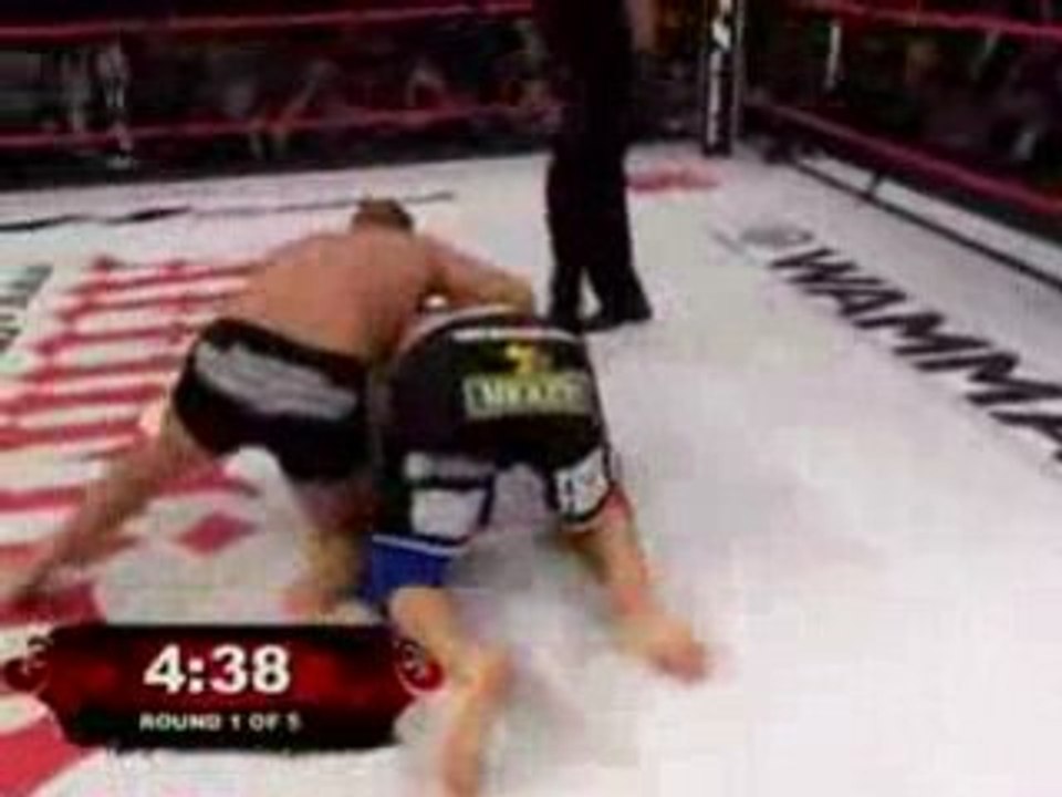 Emilianenko fedor vs tim silvia