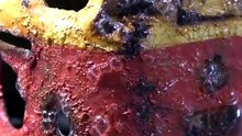 🚂🔥 Restoring a 1950s JEP Locomotive! 😱 From Rusty Forgotten Toy to Vintage Masterpiece