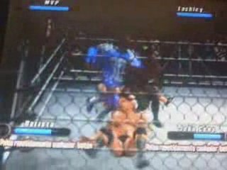 WWe Tag team championship Steel Cage