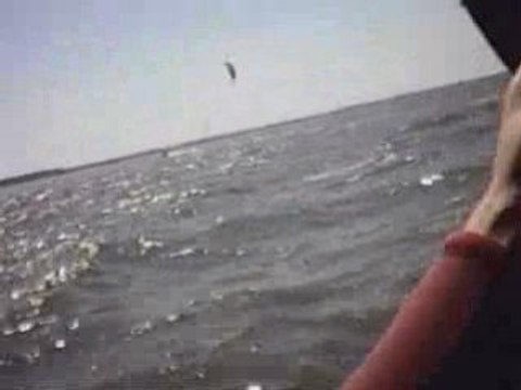 planche à voile en baie de Somme