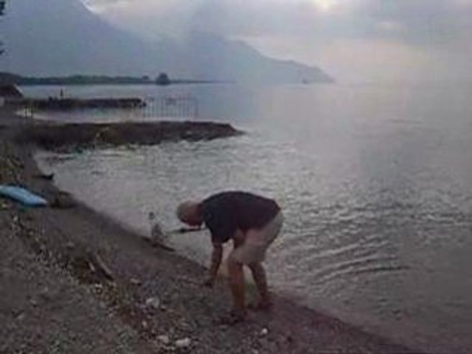 Papa & Pam: premier cours de natation