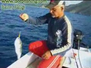 Adrasanda Balon balığı avı