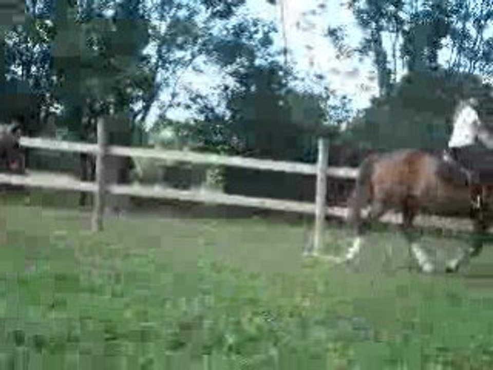 Vidéo