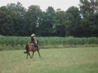 Galop champs caro