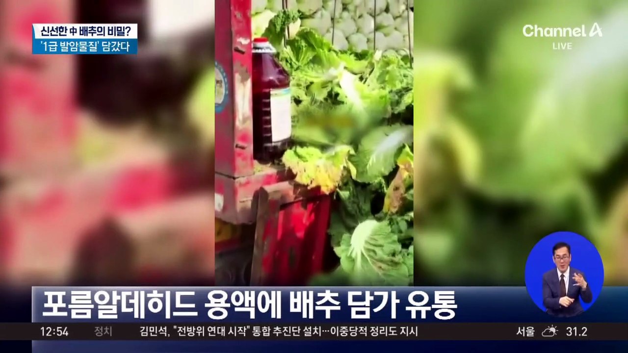 시들지 않는 中 배추?…1급 발암물질 검출