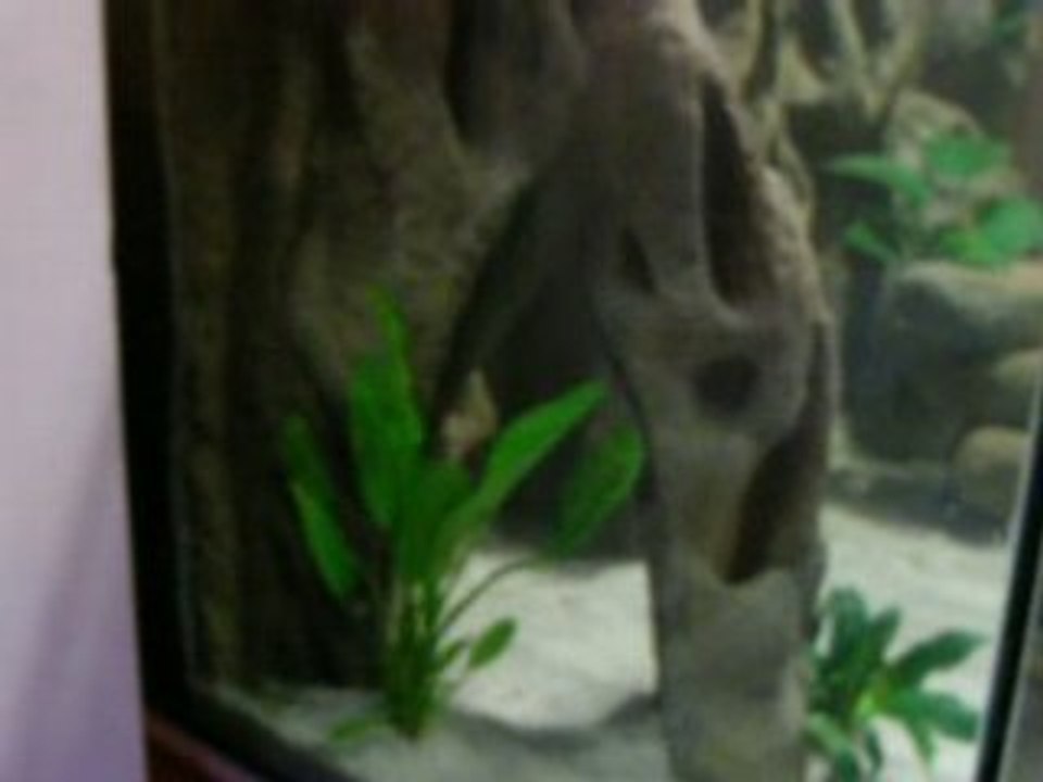 Bac malawi 160X65X65