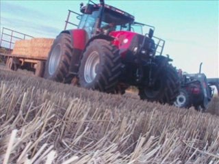 Ramassage de paille 2008