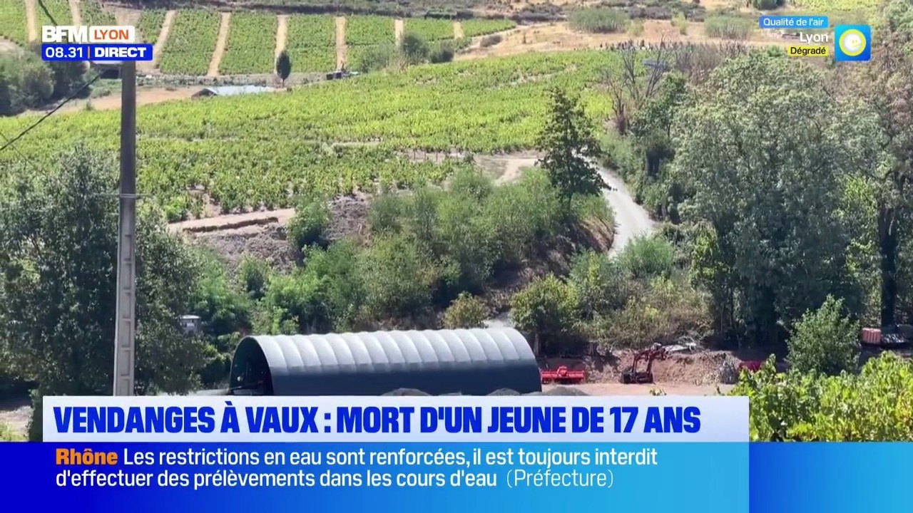 Vaux-en-Beaujolais: âgé de 17 ans, il meurt à c...