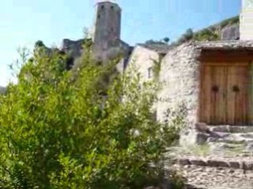 P1000632