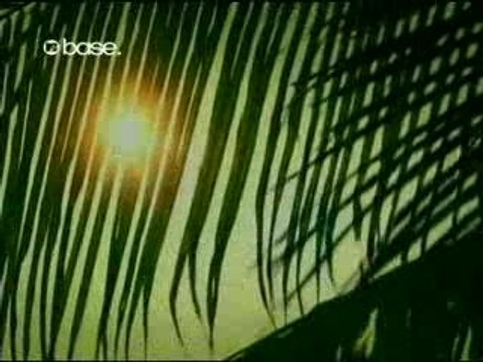 Pretty Ricky - Your Body