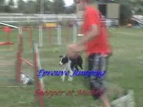 Agility (G.P.F. et Jumping de PAM 2008 catégorie C)