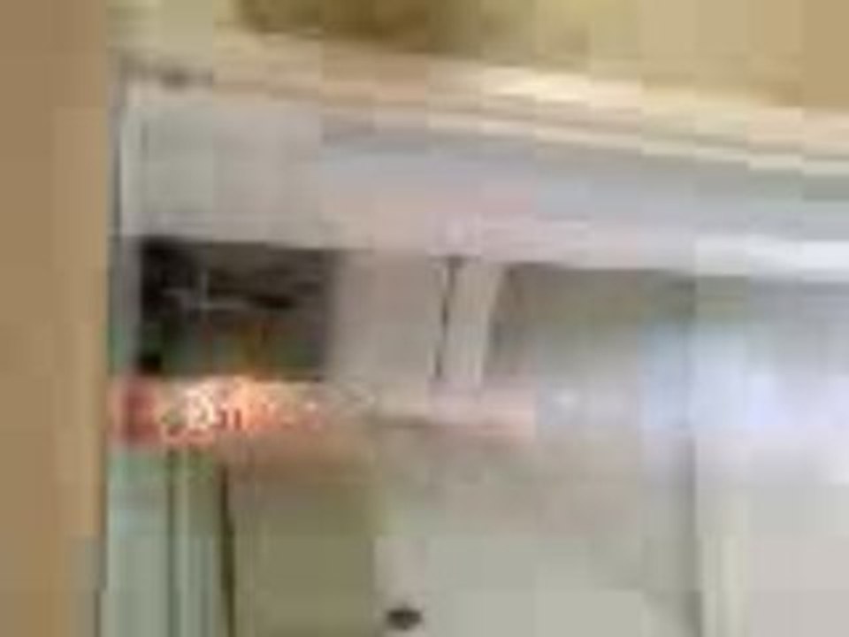 239wolv bouteille fusee 2