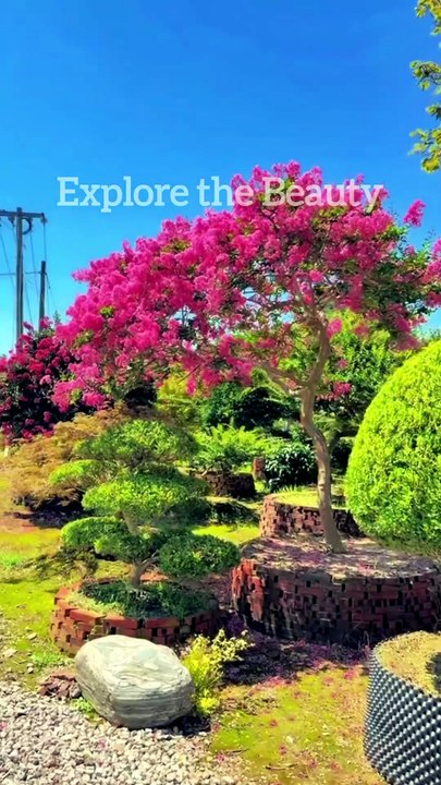 Solo Travel | Explore the Beauty #road #trip