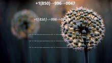 【ALL-IN-ONE】℠ [*List] of Coinbase Toll Free nUmbers in the USA: The Ultimate Explained Guide