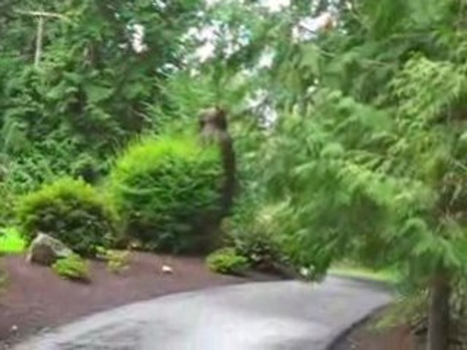 MOV01A