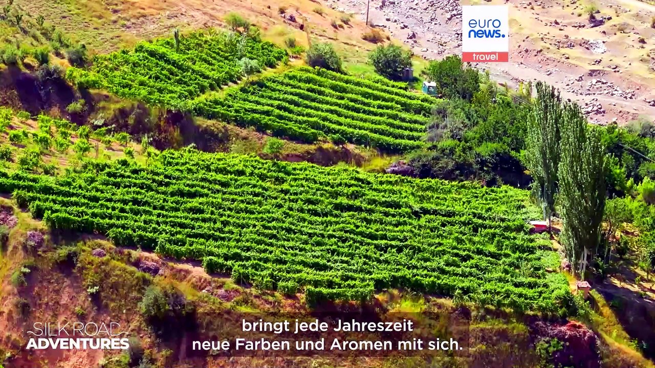 Vom feld auf den tisch: usbekistans ernten im jahreslauf