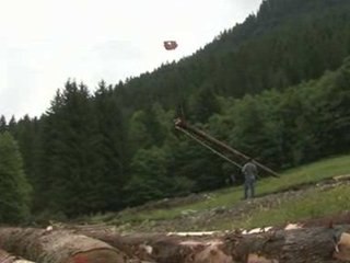 Exploitation forestière à Hauteluce