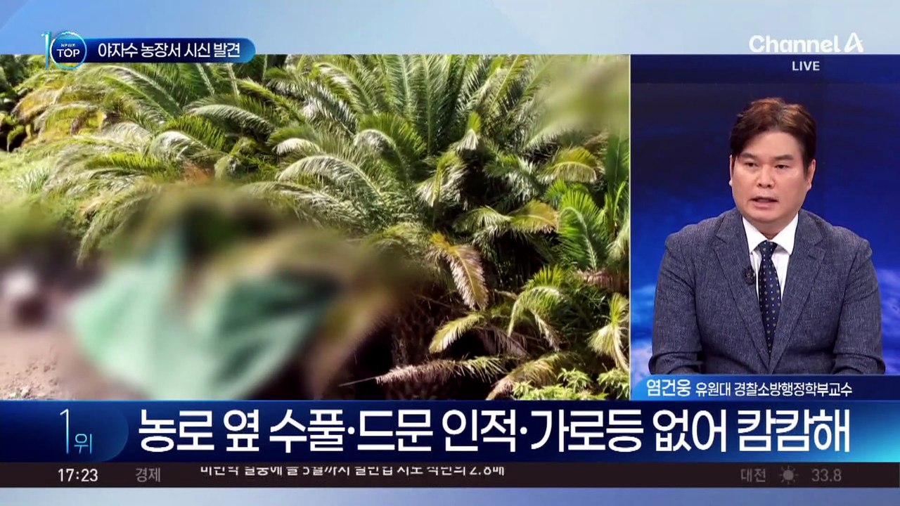 장미란 씨 추정 시신, 숙소 3분 거리 야자수 농장서 발견