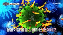 암을 막기 위해 '면역력' 관리가 중요하다?! 암 걱정은 '젖산 마그네슘'으로 해결!