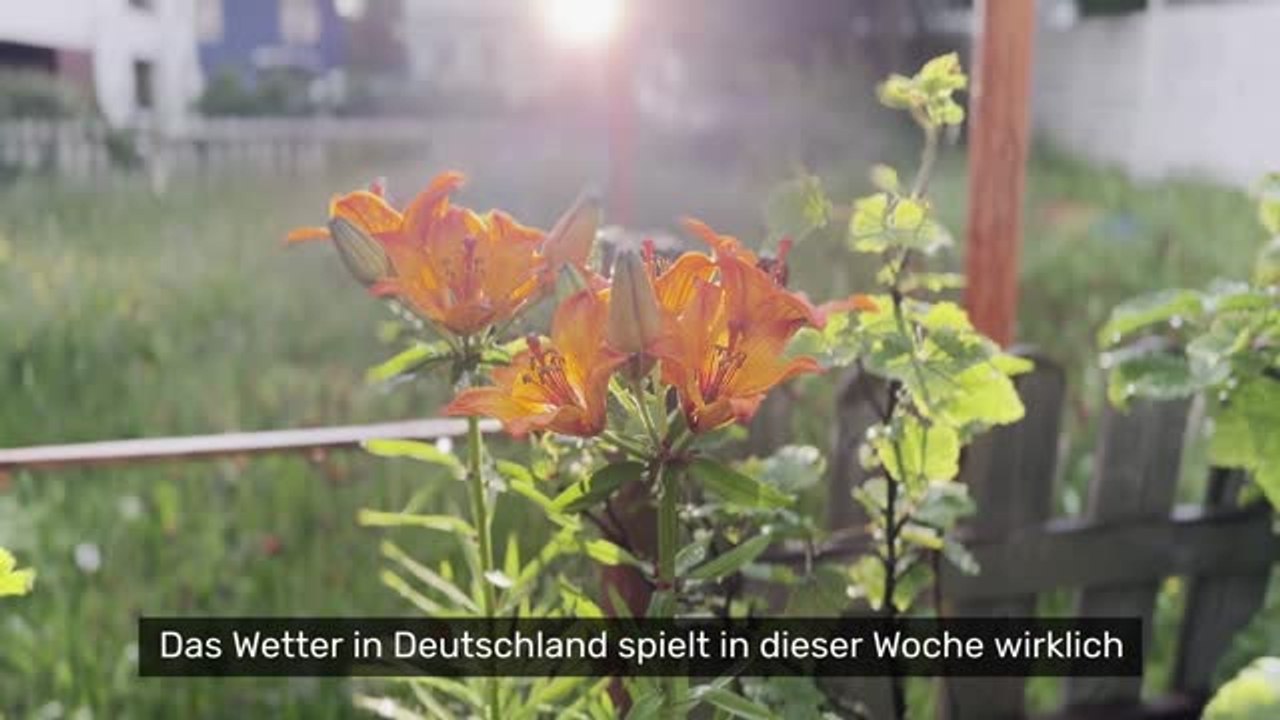 Deutschland-Wetter spielt verrückt: Erst 31 Grad, dann kommt der Wettersturz – ist der Sommer endgültig vorbei?