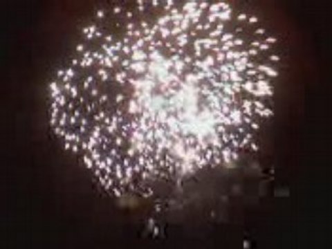 Feux d'artifices / 14 Juillet 08 - Strasbourg