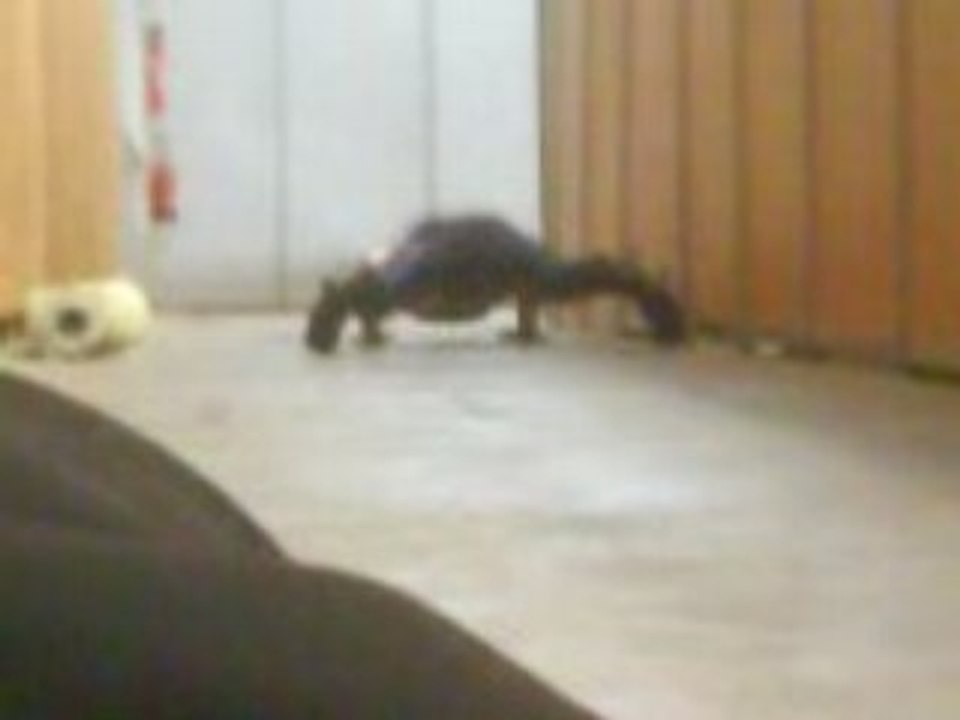 Catcheur qui fais des pompes