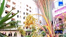 الحسام للتطوير العقاري تفتتح مقرها الجديد في القاهرة🏙️🎉محطة جديدة تعكس رؤية الشركة وخطتها للتوسع