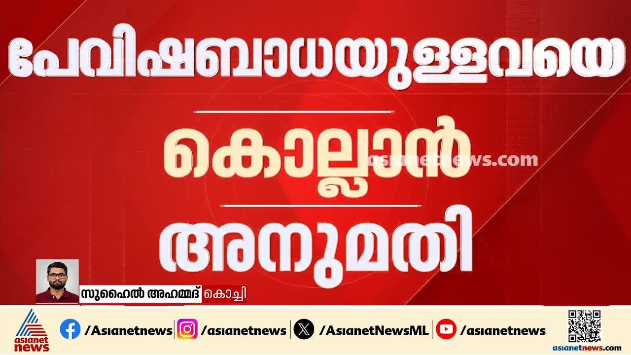 തെരുവ് നായ്ക്കളുടെ ദയാവധം; മാർഗ്ഗനിർദ്ദേശം പുറത...