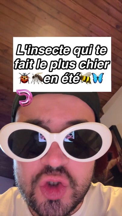 L'insecte qui te fait le plus chier en été 🐝🐞🦟
