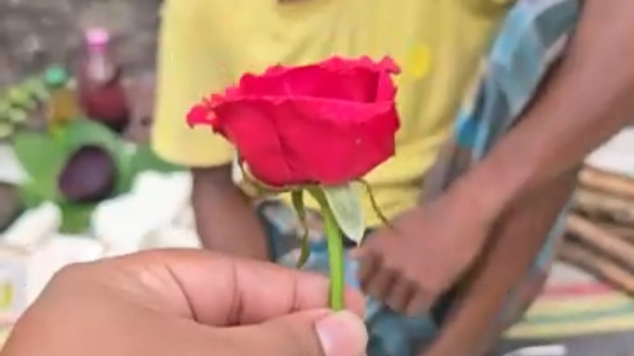 Handmade Red Rose Crafted from Roots