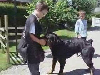Apprentissage de la marche au pied Lilian avec Abalone