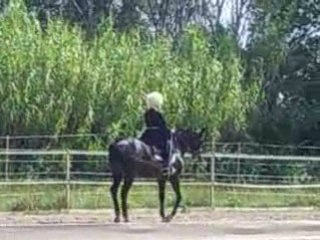 SPECTACLE CHEVAL CORNILLON13            5378