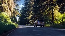 Bentley Bentayga - 2015