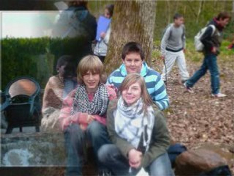 Mes amis