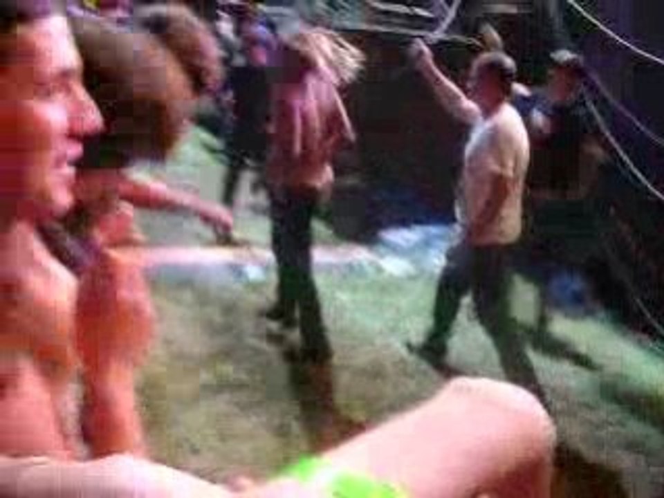 Iggy & The Stooges - I Wanna Be Your Dog