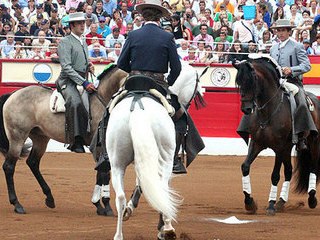 Santander, 20 de Julio, 3ª Feria