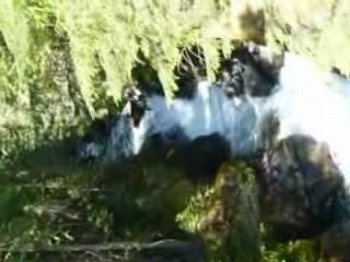 Cascade près de Nelson