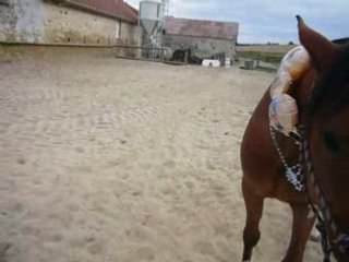 la honte ne tue pas heureusement